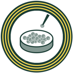 Seed Testing Services